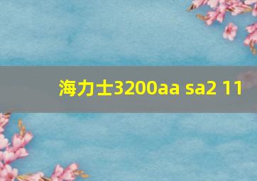 海力士3200aa sa2 11